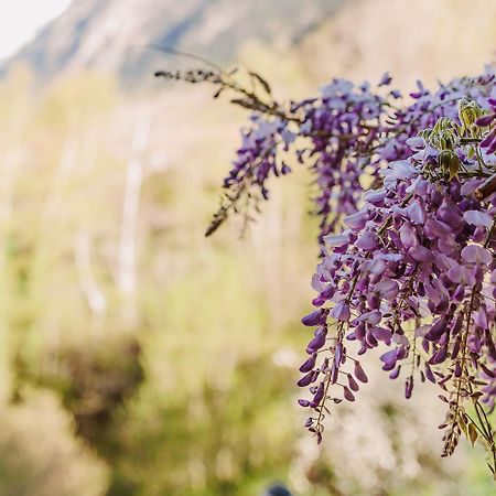 Chambre Ou Gite Dans Une Maison De Montagne - De Suzon A Zelie Entraigues  Bagian luar foto